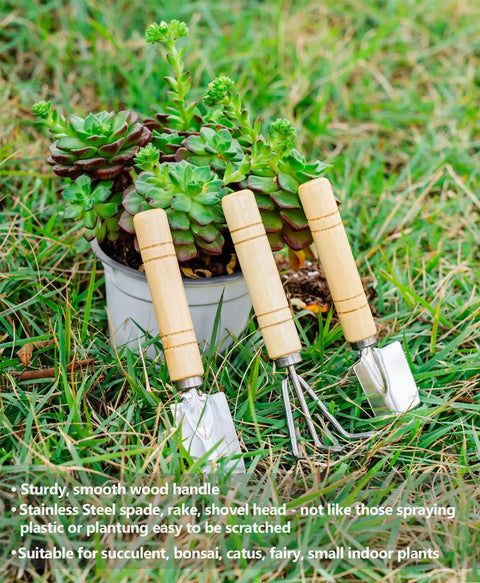 Mini Garden Tool Kit For Houseplants And Bonsai, 5Pcs Repotting Mats And Pruning Shears Set with wood handle tools in grass
