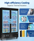 Heavy Duty Commercial Freezer Upright Two Door Glass Display Cold Storage 36 Cubic Feet with high-efficiency cooling features.