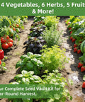 Vegetable and herb garden showing tomatoes, basil, and carrots for Huge 15000 Seeds Non GMO Heirloom Seed Kit For Hydroponic Indoor And Outdoor Growers Tomatoes Cucumbers Carrots Beans Lettuce And More Premium Germination Includes Survival Backpack Gear.