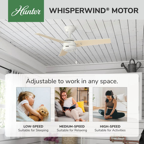 44 Inch Ceiling Fan No Light For Indoor Or Outdoor Use White Finish Damp Rated With Reversible 3 Blades And Pull Chain
