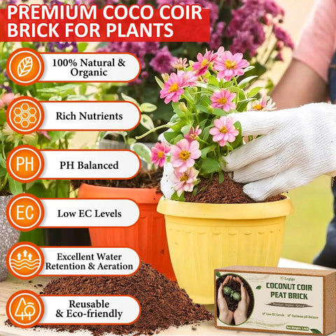 Gardener using Eight Pack Coco Coir Bricks 11.2 Lb Total Pro Grade Coconut Coir Potting Soil for planting flowers in yellow pot.