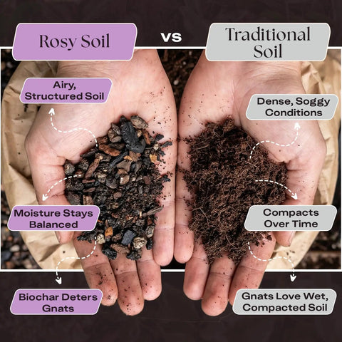 Comparison of Orchid Potting Mix With Superior Aeration And Drainage For Thriving Orchids Peat Free Microbially Active Biochar Powered Soil and traditional soil with labels highlighting differences.