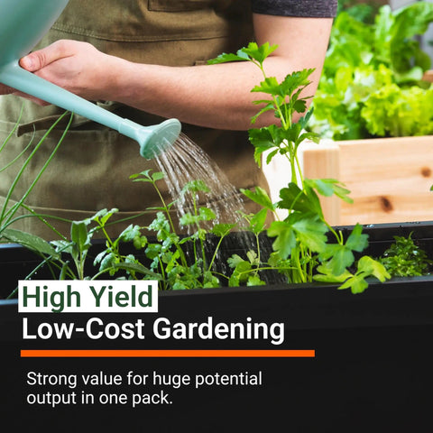 Person watering herbs in an indoor garden setup, illustrating Massive 4000 Heirloom Seed Herb Kit With 12 Varieties For Indoor And Outdoor Garden Non GMO Vegetable And Fruit Seeds 2026 Season High Yield Starter Pack.