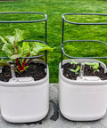 Indoor Garden Mini Planter With Trellis Self Watering System For Climbing Vegetables And Herbs Countertop Planter Box 2 Pack Cream White