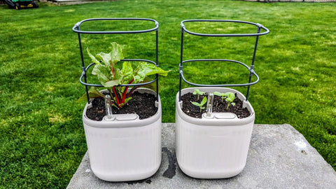 Indoor Garden Mini Planter With Trellis Self Watering System For Climbing Vegetables And Herbs Countertop Planter Box 2 Pack Cream White