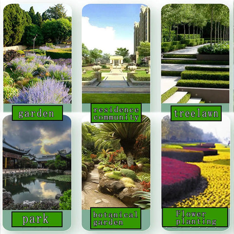Collage of various landscaping projects including garden, residence community, treelawn, park, botanical garden, and flower planting