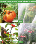 Before and after images showing a 67 Piece Garden Netting Kit 10x25 Ft Ultra Fine Pest Barrier Netting with 6 Hoops and 12 Clips.