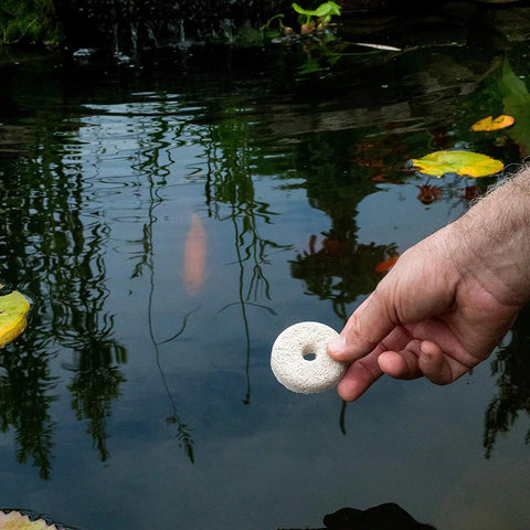 Hand holding Organic Mosquito Dunk Larvicide Outdoor Pond And Bird Bath Bug Stopper above a pond water surface.