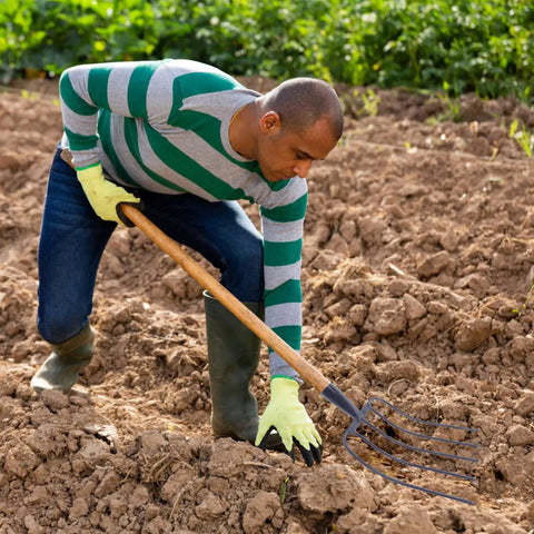 Person using Heavy Duty Stainless Steel Hand Fork For Gardening And Farming, Easy Weeding And Digging in field
