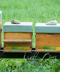 Beehives with Six Pack Beehive Entrance Reducer Kit With Adjustable Sliding Gate For 10 Frame Hives, Assorted Red Blue Yellow Colors