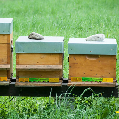Beehives with Six Pack Beehive Entrance Reducer Kit With Adjustable Sliding Gate For 10 Frame Hives, Assorted Red Blue Yellow Colors