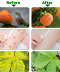 Before and after use of 10 X 50 Ft Mosquito Mesh Screen For Patio And Garden, showing bird and bug damage on fruits and skin.
