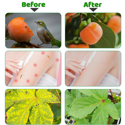 Before and after use of 10 X 50 Ft Mosquito Mesh Screen For Patio And Garden, showing bird and bug damage on fruits and skin.