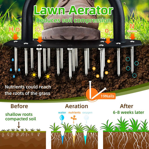 Illustration of Manual Lawn Aerator With 19 Stainless Steel Spikes 2.7 Inch Length Rust Resistant 304 Stainless in use