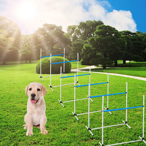Puppy with 6 Piece Dog Agility Training Set With Adjustable Jumps And Hurdles Durable Plastic Equipment in outdoor park setting.