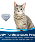 Gray tabby cat with 'Meet Katniss Rescued 2012' tag, promoting Bissell Pet Foundation's support for saving homeless pets.