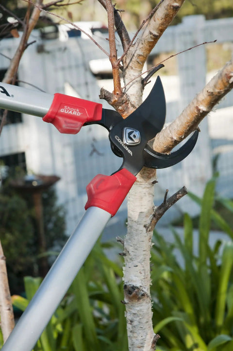 30 Inch Bypass Lopper With Comfort Gel Grips And Shock Guard For Easy Cutting Of Branches Up To 1.5 Inches, pruning a branch