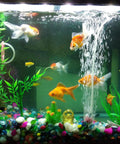 Aquarium with fish and bubbles, featuring Heavy Duty High Temp Silicone Tubing 6.6 Ft 5/8 In ID By 7/8 In OD Black Flexible Hose.