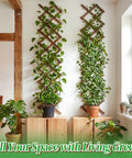 Indoor setup of Expandable Wood Wall Trellis for Climbing Plants Outdoor 2-Pack Adjustable Lattice Panels with potted vines.