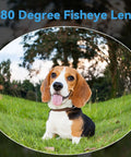 Dog photographed with 8MP USB Camera Module With 180 Degree Fisheye Lens For Machine Vision And Industrial Automation Ultra Wide Angle Webcam