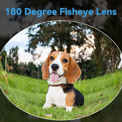 Dog photographed with 8MP USB Camera Module With 180 Degree Fisheye Lens For Machine Vision And Industrial Automation Ultra Wide Angle Webcam