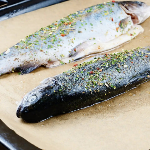 Heavy Duty PTFE Dehydrator Sheets 14 Inch Nonstick Baking Mats And Oven Liners For BBQ Hot Plate, fish seasoned on mat.