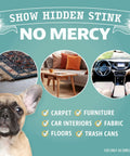 Show hidden stink infographic with dog, rug, couch, and car interior images for Portable UV Flashlight Black Light For Pet Urine Detection On Carpets And Upholstery Detect Dry Stains And Bed Bug Evidence Pocket Size Handheld Urine Detector That Works With Odor Eliminator