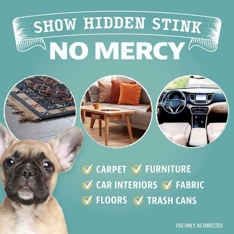 Show hidden stink infographic with dog, rug, couch, and car interior images for Portable UV Flashlight Black Light For Pet Urine Detection On Carpets And Upholstery Detect Dry Stains And Bed Bug Evidence Pocket Size Handheld Urine Detector That Works With Odor Eliminator