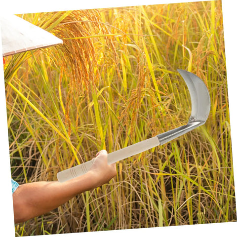 Wooden Sickle Handle Grip With Ergonomic Design And Noslip Comfort For Sickle Replacement in use during harvesting