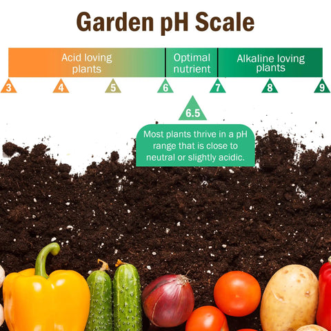 Garden pH scale with soil and vegetables showing pH levels for plants. 100 Pack Soil pH Test Strips Kit With Fast And Accurate Readings.