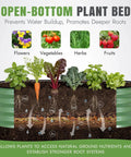 Open-bottom plant bed with illustrations of flowers, vegetables, herbs, and fruits, showing nutrient flow in soil.