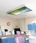 Tree Themed Fluorescent Light Covers For 2x4 Ceiling Fixtures With A Soft Glow, Low Glare Lighting For Classrooms And Offices