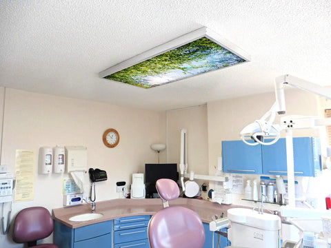 Tree Themed Fluorescent Light Covers For 2x4 Ceiling Fixtures With A Soft Glow, Low Glare Lighting For Classrooms And Offices