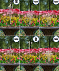 Sun Powered Solar Fountain Kit For Bird Bath And Backyard Water Feature showing different spray patterns.