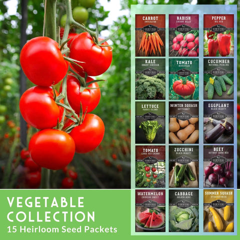 15 Pack Heirloom Vegetable Seed Kit For Indoor Or Outdoor Gardens Non GMO Family Gift With Tomatoes Lettuce Cucumber