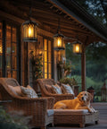 Hangin Solar Lanterns For Outdoors Waterproof 2 Pack Clip And Handle Patio Garden Lights illuminating porch with dog lounging.