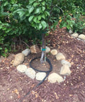 Customizable Soaker Hose System With 50 Ft 1/2 Inch Soaker Hose And 25 Ft PVC Garden Hose, Drip Irrigation Kit watering a young tree