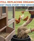 Man replacing hay with Washable Chicken Nesting Pads For Laying Eggs Reusable Durable Nest Box Cushions For Chicken Coops