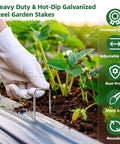 Heavy Duty 6 Inch Galvanized Landscape Staples securing garden fabric next to plants