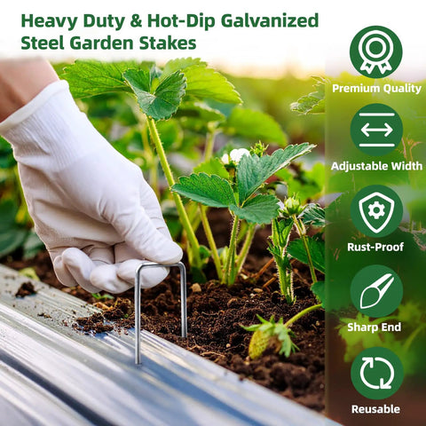 Heavy Duty 6 Inch Galvanized Landscape Staples securing garden fabric next to plants