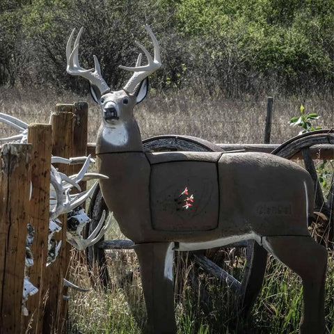 Life Like 3D Buck Archery Target That Stops Broadheads And Field Tips, 200 Pound Whitetail Body In Outdoor Setting