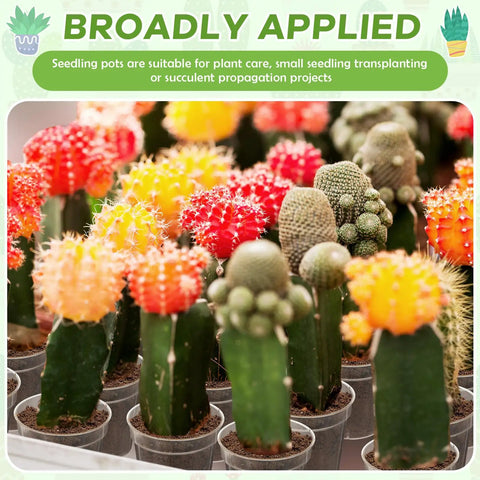 small plant starter pots Clear 2 Inch Mini Plastic Plant Pots 200 Pack ✓