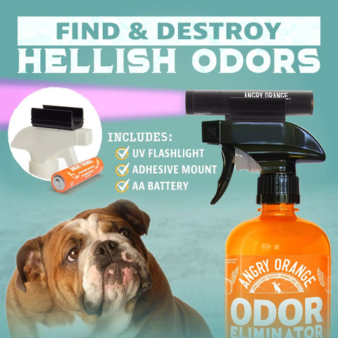 Portable UV Flashlight Black Light for Pet Urine Detection on Carpets, includes flashlight, mount, battery, and odor eliminator.