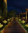 Go To Solar Carnation Flower Lights For Outdoor Garden Decor Waterproof IP65, Warm White 3200K LEDs illuminating garden pathway