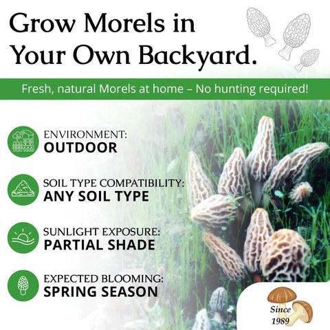 Grow Gourmet Morels At Home With This Easy Morchella Mushroom Kit For Backyard Growers Works In Any Soil Type Across The USA Full Instructions Outdoor Cultivation Made In The USA package with morel photos