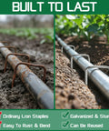 Before and after comparison of rusted iron staples and Heavy Duty Galvanized Garden Stakes 5 Inch 25 Pack With Anti Rust Ground Pins