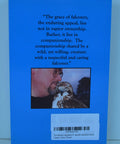Back cover of Falconry For Beginners A Hands On Guide To Training The Passage Red-Tailed Hawk Step By Step Skills For Apprentice Falconers.