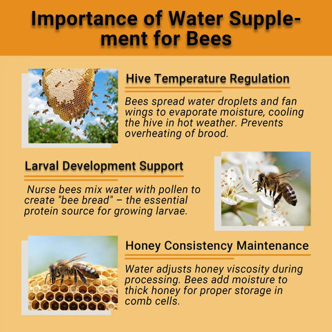 4 Pack Bee Watering Station For Garden 7.87 Inch Pollinator Watering Station And Butterfly Feeder infographic about bee water supply