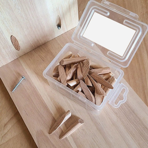 Hella Sturdy Oak Wood Plug Set For Screw Holes Odorless Reusable Pocket Hole Inserts With Sandable Finish No Fuss Diy Wood Filler Plugs Bulk Pack Of Fifty inside a clear container near wooden surface.