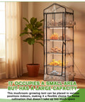 5 Tier Extra Tall Mushroom Grow Tent Kit With Light And Timer 80 By 19 By 27 Inch Greenhouse With 6500K LED Grow Light